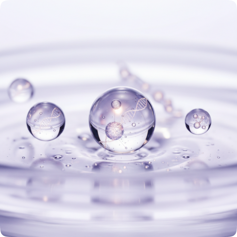 Préime skincare active